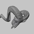 Detailed Ram Skull With Large Curved Horns On Black Background