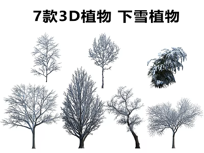Seven Types of 3D Snowy Trees for Winter Landscape Design and Decoration 3d model