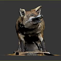 Realistic Red Fox Game Movie Character Sculpture With Orange Base And Dark Background