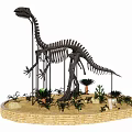 Fossil Dinosaur Bones 3d model