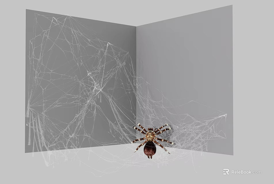Reptile Lizard On Intricate Spider Web With Gray Background And Spotted Legs 3d model 