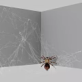 Reptile Lizard On Intricate Spider Web With Gray Background And Spotted Legs
