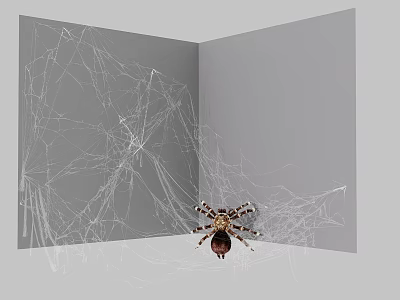 Reptile Lizard On Intricate Spider Web With Gray Background And Spotted Legs 3d model