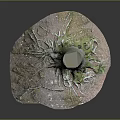 Natural Wooden Stump Design With Stone Base And Moss Covered Roots