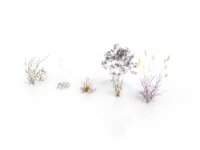Various Types of Ornamental Grass Plants with Purple White and Yellow Leaves on White Backdrop 3d model
