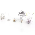 Various Types of Ornamental Grass Plants with Purple White and Yellow Leaves on White Backdrop
