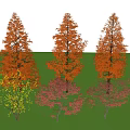 Colorful Arbor Trees With Red Orange Yellow Leaves On Green Grass Under Blue Sky