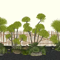 Lollipop Ligustrum combined modeling Ligustrum landscape modeling tree courtyard sketch fence 3d model