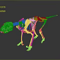 Silver Dinosaur Skeleton Display With Reflective Surface And Detailed Bone Structure 3d model