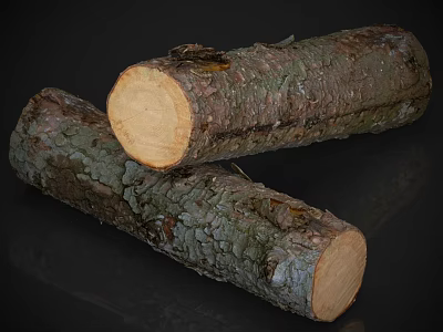 Natural Stone Wood Logs With Rough Bark And Smooth Cross Section Texture 3d model