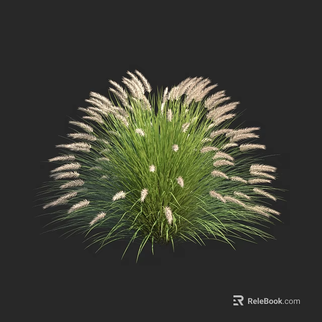 Vibrant Green Shrub Featuring Dense Lush Foliage And White Feathery Flowers 3d model 