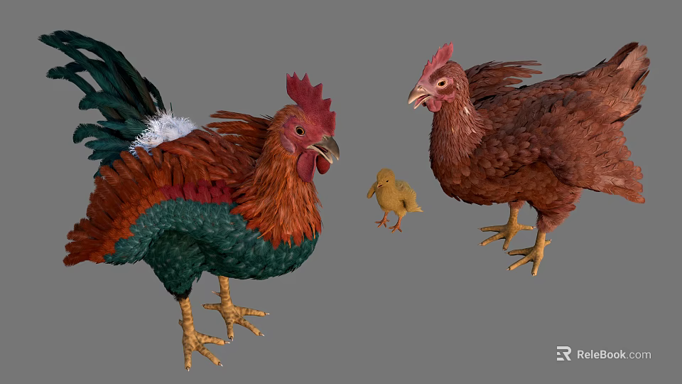 Colorful Rooster Brown Hen And Small Yellow Chick With Natural Feathers Standing Together 3d model 