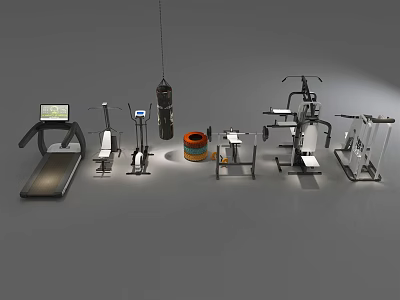 Home Gym Sports Equipment Including Treadmill Dumbbells Punching Bag And Multi Functional Trainers 3d model