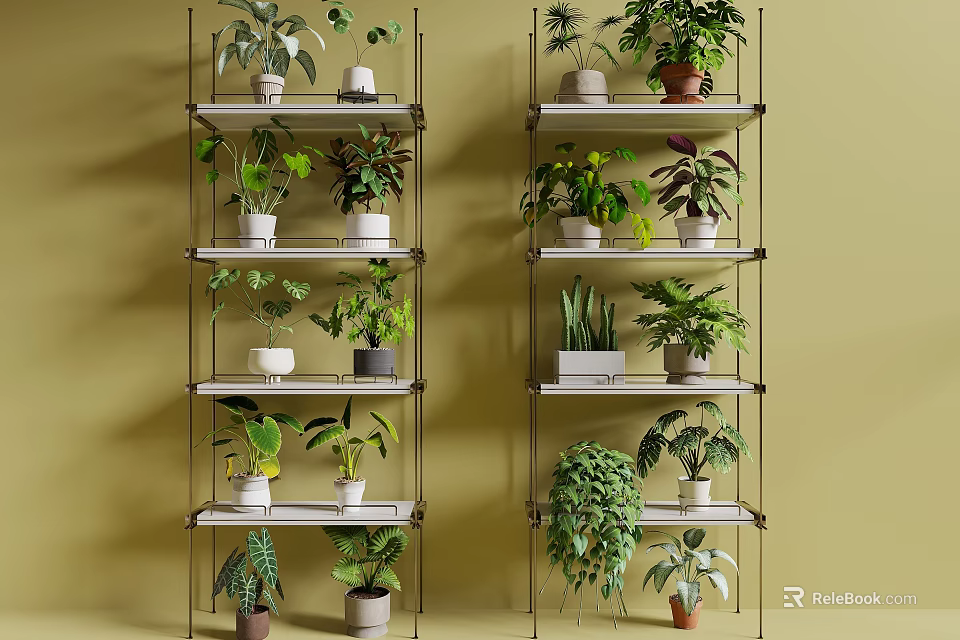 Various Potted Bonsai Plants on Metal Shelves with Green Wall Background 3d model 