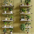 Various Potted Bonsai Plants on Metal Shelves with Green Wall Background