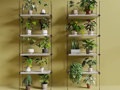 Various Potted Bonsai Plants on Metal Shelves with Green Wall Background 3d model