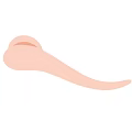 Modern Elegant Brass Handle With Sleek Curved Design For Cabinet Doors