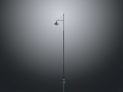 Modern Architectural Street Lamp Design With Metal Pole For Outdoor Lighting Use 3d model