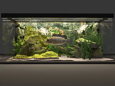 Freshwater Aquarium with Colorful Tropical Fish Aquatic Plants Decorative Rocks and Rocky Backdrop 3d model
