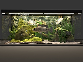 Modern fish tank 3d model