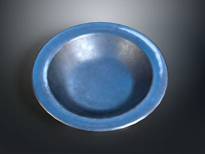 Potted Green Succulent Plant In Blue Ceramic Bowl On Dark Background 3d model