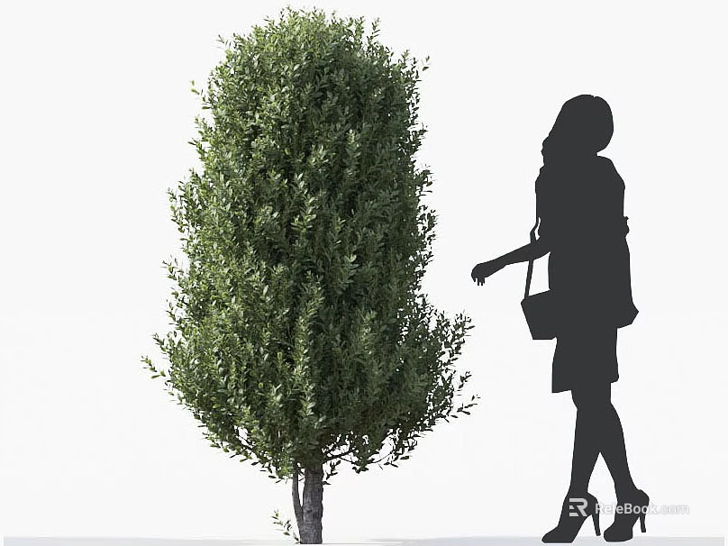Lush Green Arbor Tree With Dense Foliage And Female Silhouette Standing Nearby 3d model 