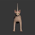 Pink Hairless Sphynx Cat Standing On Black Surface With Reflection And Grey Background