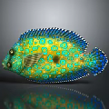 Vibrant Yellow Aquatic Fish With Blue Spots And Colorful Fins Appearance
