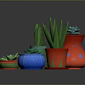 Colorful Succulent And Cactus Plants In Vibrant Decorative Pots With Various Designs