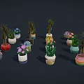 Various Potted Plants In Colorful Different Shaped Pots With Flowering And Green Leaf Varieties