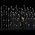 Numerous Decorative Outdoor Lights With Starry Sky And Reflections In Nighttime Scene