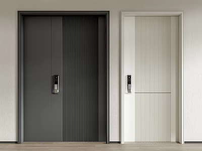 Modern Security Doors With Smart Locks In Two Styles 3d model