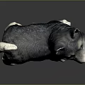 Cute Black And White Puppy Statue With Upright Ears And Curled Tail