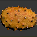 Fresh Shiny Orange Kiwano Horned Melon with Spiky Exterior on Dark Background