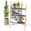 Stylish Interior Decor With Potted Plants On Wooden Shelf And Decorative Painting Books Candles