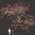 Curved Tree With Red Leaves And White Human Figure In Natural Scene