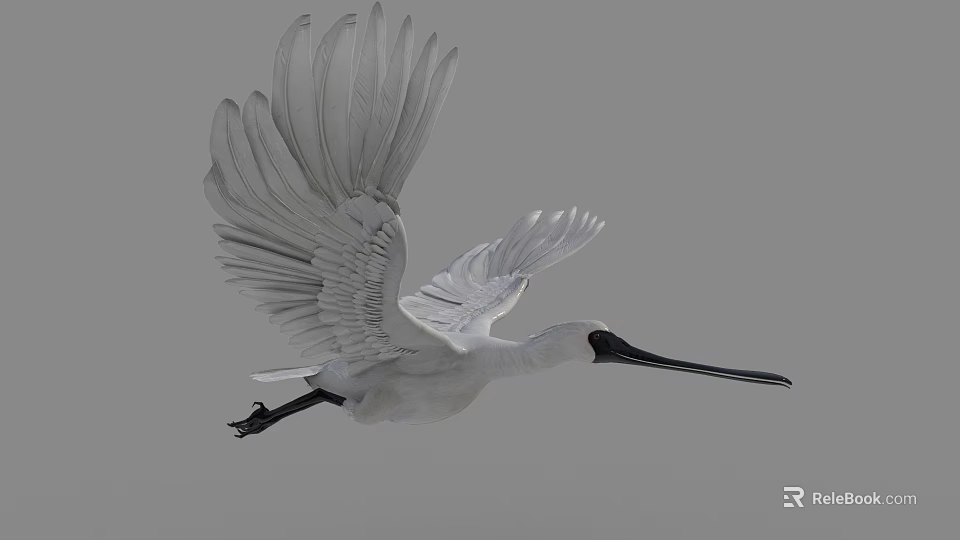 White Flying Bird With Spread Wings Long Black Beak And Grey Background 3d model 