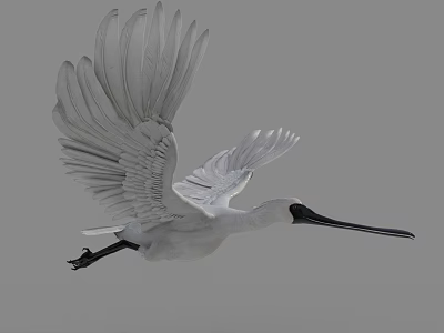 White Flying Bird With Spread Wings Long Black Beak And Grey Background 3d model