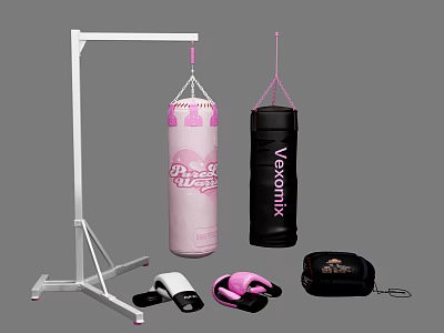Boxing Sports Equipment Featuring Stand Punching Bags Gloves In Pink And Black 3d model