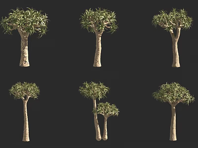 dichotomous aloe tree 3d model