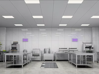 Commercial Catering Kitchen With Stainless Steel Worktables White Walls And Ceiling Lights 3d model