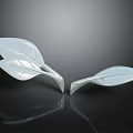 White Plant Leaf Shaped Objects On Black Background With Reflective Surface