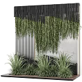 Green Plant Wall With Hanging Vines And Black Slatted Panels On Concrete Background