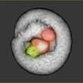 Fresh Sushi Roll with White Rice Nori and Colorful Vegetable Fillings