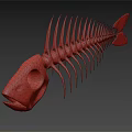 Medical Instrument Fish Skeleton Anatomical Model For Educational Display And Teaching