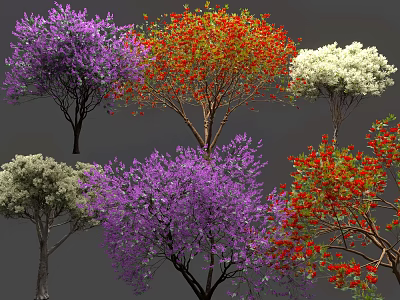 Vibrant Flowering Arbor Trees With Purple Red White And Pink Blooms 3d model