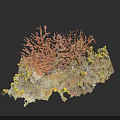 Botanical Painting of Vibrant Orange Coral with Yellow Accents and Textured Base