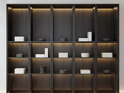 Modern Dark Wood Wall Storage Shelf with Built in Design Teapots Books and Lighting 3d model
