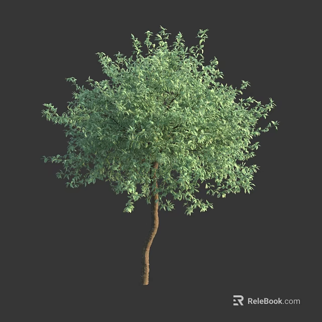 Lush Arbor With Dense Green Foliage And Brown Curved Trunk 3d model 