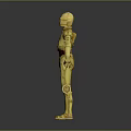 Detailed Yellow Metallic Humanoid Robot Character Standing In Full Body View